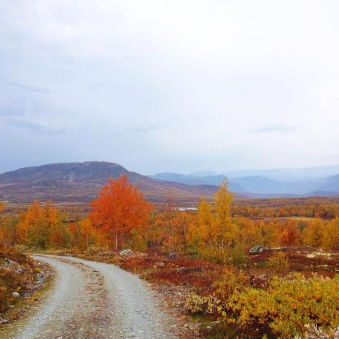 Fjellstova Storehorn Apartments Ulsak Luaran gambar