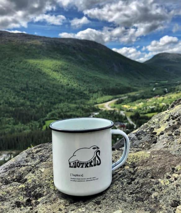 Fjellstova Storehorn Apartments Ulsak Luaran gambar